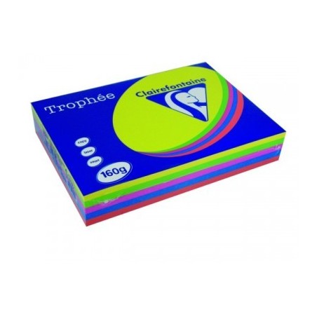 RAMETTE 250F 160G A4 ASSORTIMENT INTENSE