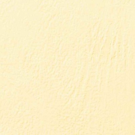 100 COUVERTURES GRAIN CUIR IVOIRE