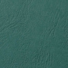 100 COUVERTURES GRAIN CUIR VERT