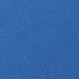 100 COUVERTURES GRAIN CUIR BLEU