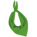 6 FOULARDS TRIANGULAIRES VERT
