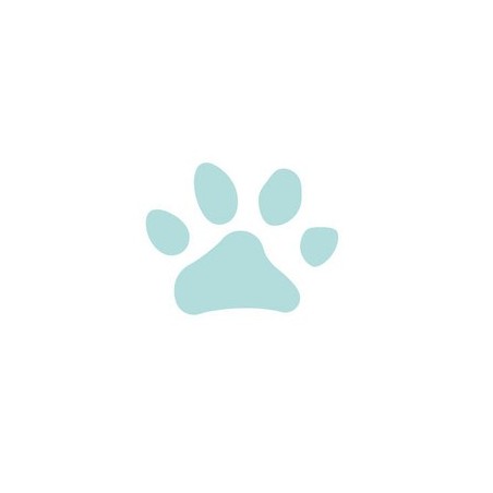 PERFO DECO MINI PATTE D OURS