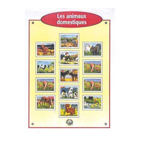 IMAGES 6x8 Bte 100 OISEAUX