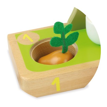 J'APPRENDS A COMPTER LES LEGUMES
