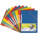 10 CHEMISES ÉLASTIQUE 3 RABATS CARTE COLORIS VIFS