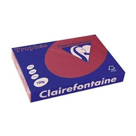RAMETTE 250F A3 120 GR INTENSE ROUGE