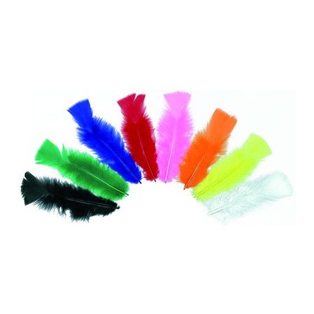 PLUMES VERTES PAQUET DE 25GR