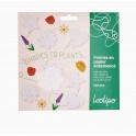 PACK PRINTEMPS EN PAPIER ENSEMENCÉ