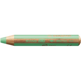 WOODY 1 CRAYON COLORIS VERT PASTEL