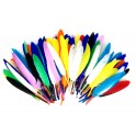 1000 PLUMES FORMES,TAILLES ET COLORIS ASSORTIS