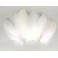 1000 PLUMES FORMES,TAILLES ET COLORIS ASSORTIS
