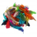 1000 PLUMES FORMES,TAILLES ET COLORIS ASSORTIS