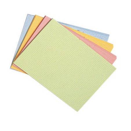 100 FICHES BRISTOLS 210X297 5X5 COLORIS ASSORTIS