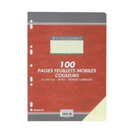 FEUILLETS MOBILES 21X29,7 100P SEYES 90G JAUNE