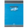 CAHIER 21X29,7 96P 5X5 70G PIQURE