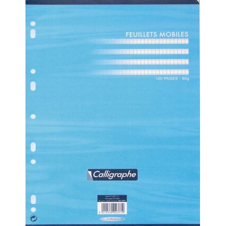 FEUILLETS MOBILES 21X29,7 100P SEYES 90G BLANC