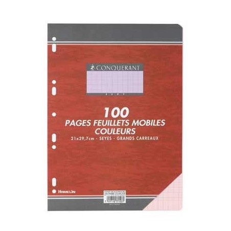 FEUILLETS MOBILES 21X29,7 100P SEYES 90G VERT