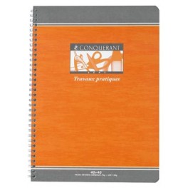 CAHIER TP 21x29,7 intégrale 40p seyes - 40p dessin