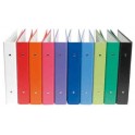 CLASSEUR 17X22 2 ANNEAUX D40 COLORIS ASSORTIS 