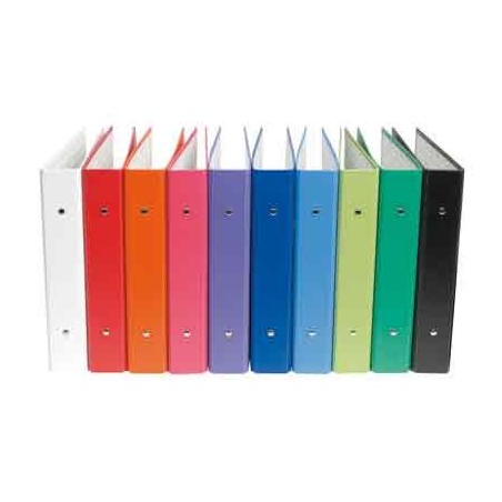 CLASSEUR 17X22 2 ANNEAUX D40 COLORIS ASSORTIS