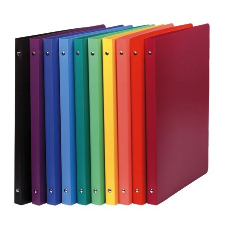 CAHIER CLASSEUR POLYPRO 4 ANNEAUX D20 mm - COLORIS ASSORTIS