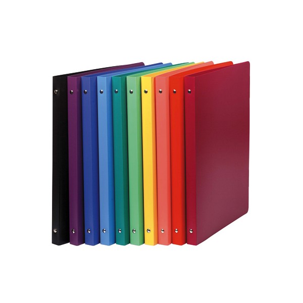 CAHIER CLASSEUR POLYPRO 4 ANNEAUX D20 mm - COLORIS ASSORTIS