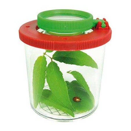 GRANDE BOÎTE LOUPE