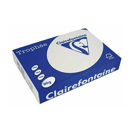 RAMETTE 500F 80G A4 PASTEL GRIS ACIER