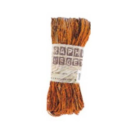 RAPHIA VÉGÉTAL PELOTE 50G ORANGE CORAIL