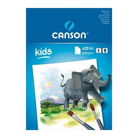 CANSON BLOC PEINTURE BLANC A4 200G 20F