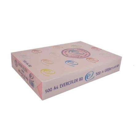 EVERCOLOR RECYCLE BLEU A4 RAMETTE 500F 80G