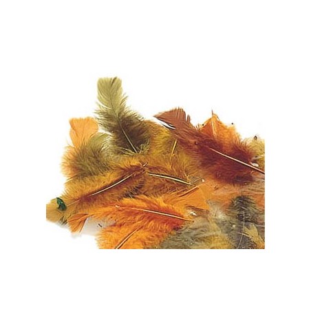 PLUMES AUTOMNE COLORIS ASSORTIS 25G