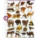 GOMMETTES ANIMAUX SAUVAGES 312 gommettes 12 Fs