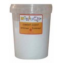 CIMENT JOINT POUDRE COLORIS BLANC POT 500G