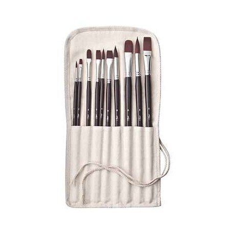 10 PINCEAUX LONGS MANCHES ASSORTIS
