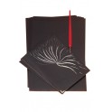 CARTE A GRATTER noire 24x32 pochette 2 Feuilles