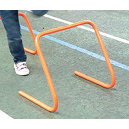 HAIE DE VELOCITE 30cm