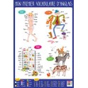 POSTER MON PREMIER VOCABULAIRE D'ANGLAIS