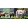 ANIMAUX DE LA FERME LOT 2 PUZZLES MAGNETIQUES