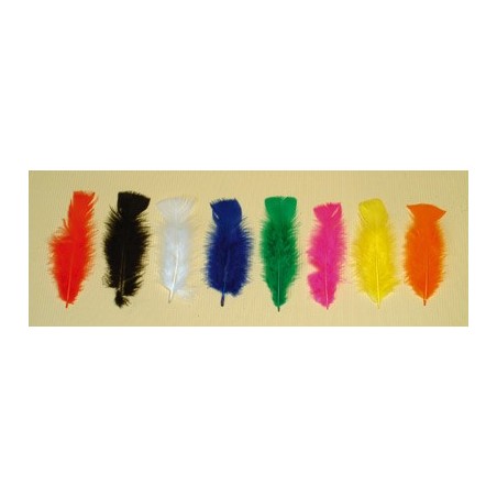 PLUMES COLORIS ASSORTIS 25G