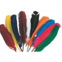 12 PLUMES INDIEN 27-30CM COLORIS ASSORTIS