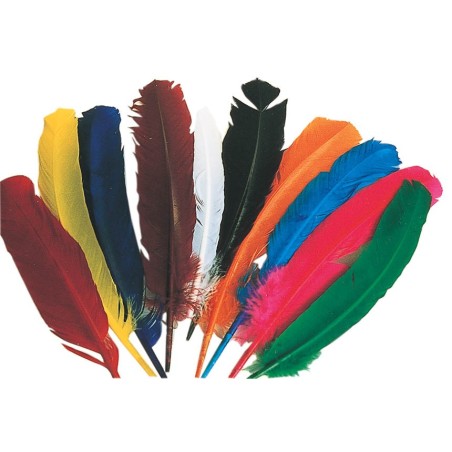 12 PLUMES INDIEN 27-30CM COLORIS ASSORTIS