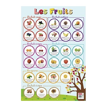 POSTER LES FRUITS